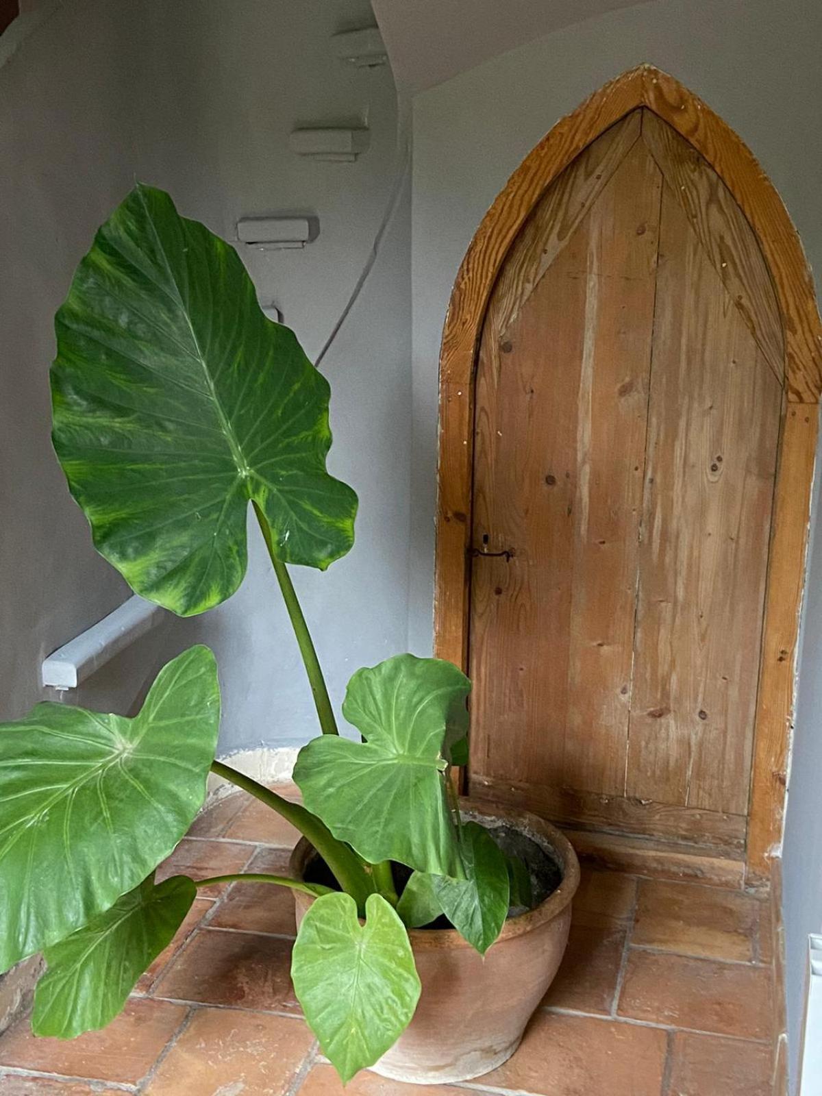 Mas Carita Bed & Breakfast Cabannes Exterior photo